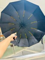 Ishiguro Umbrella Imported 12 Ribs Full Automatic Windproof - Image 2