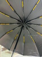 Ishiguro Umbrella Imported 12 Ribs Full Automatic Windproof - Image 13