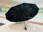 Ishiguro Umbrella Imported 12 Ribs Full Automatic Windproof - Image 20