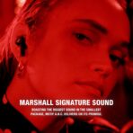 Marshall Motif ANC TWS Earbuds - Image 4