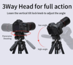 Jmary Professional Tripod (KP-2234) - Image 13